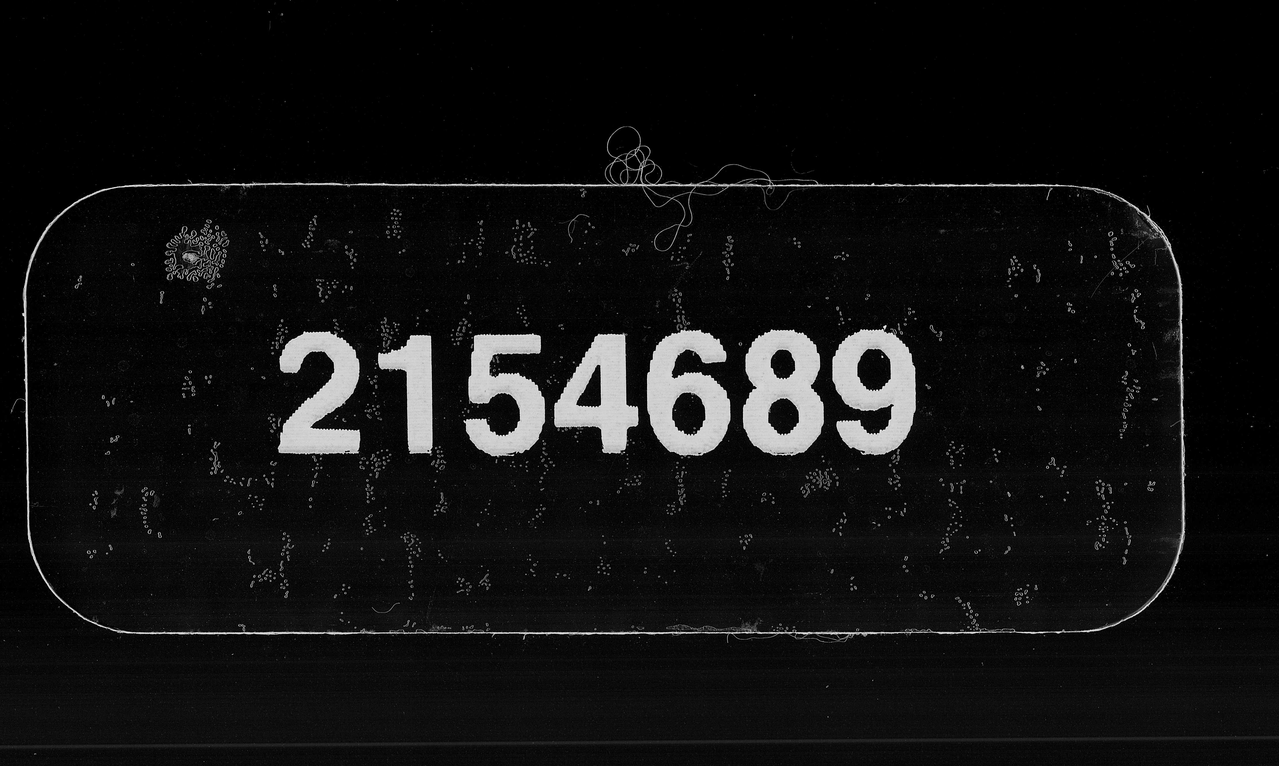 0001.jpg